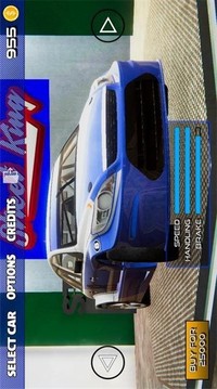 街頭霸王賽車游戲截圖1