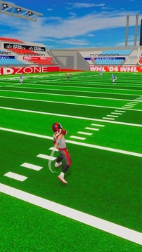 NFL生活3D游戏截图2