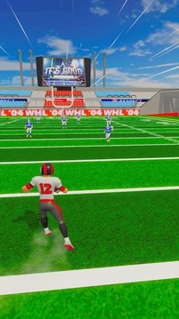NFL生活3D游戏截图3