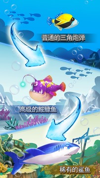 貓貓水族館游戲截圖4