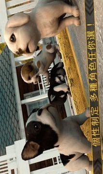 模擬小汪大闖關(guān)游戲截圖1