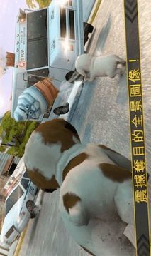 模擬小汪大闖關(guān)游戲截圖2