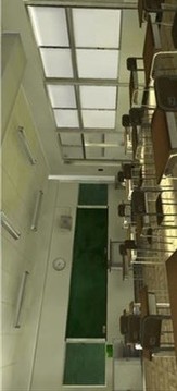 女學(xué)生導(dǎo)師游戲截圖3