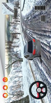 真正的汽車駕行游戲截圖1