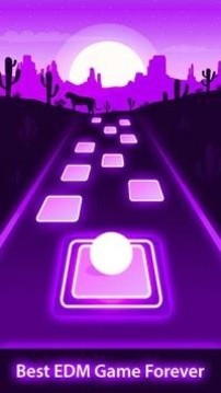 魔術(shù)磚跳3D游戲截圖1