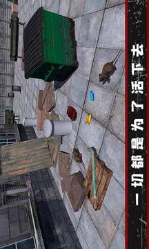 我的流浪生涯游戲截圖3