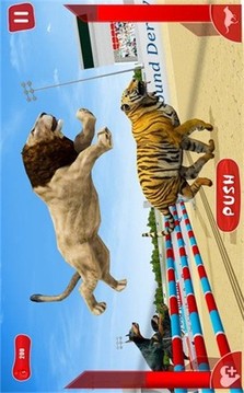 獅子賽跑3D游戲截圖2