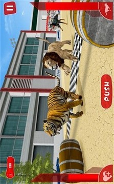獅子賽跑3D游戲截圖3