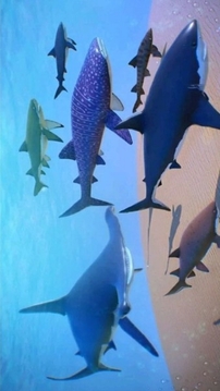 超級海底大獵殺游戲截圖2