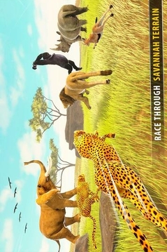 熱帶草原動物賽跑3D游戲截圖2