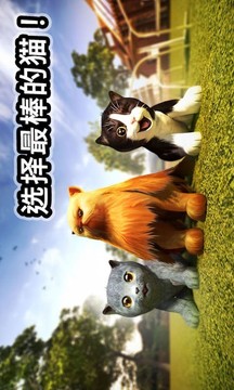 迷你小貓城市生存游戲截圖3