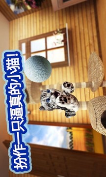 迷你小貓城市生存游戲截圖2