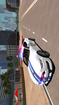 野馬警車駕駛2021游戲截圖1