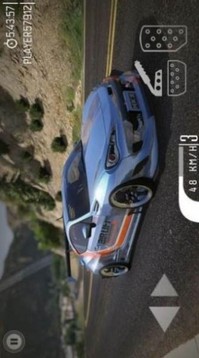 模擬駕駛車速游戲截圖1