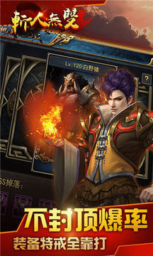 斬人無雙單職業(yè)游戲截圖3
