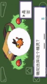 口袋妖怪究極智娜全隨機(jī)游戲截圖2