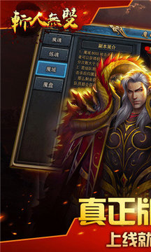斬人無雙單職業(yè)游戲截圖1