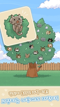 猫猫树游戏截图3