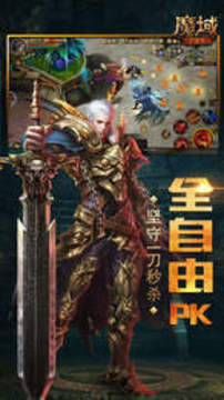 001my魔域游戲截圖3