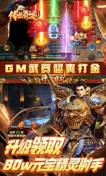 傳世奇跡送GM刀游戲截圖3