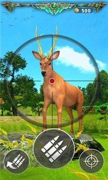 猎鹿比赛游戏截图2