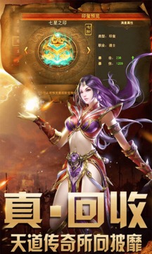 白虎戰(zhàn)神游戲截圖1