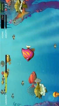 喂魚狂潮游戲截圖4