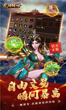 龍騰傳世三職業(yè)合擊游戲截圖2