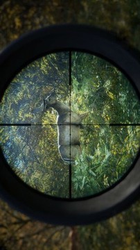 Epic獵人荒野的呼喚游戲截圖4