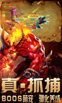 白虎戰(zhàn)神游戲截圖3