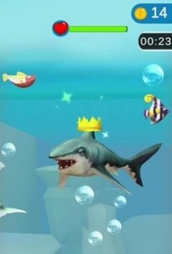 鯊魚瘋狂3D游戲截圖1