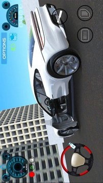 保時(shí)捷模擬駕駛游戲截圖1