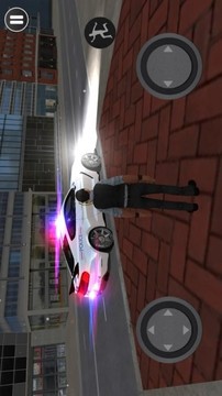 野馬警車駕駛游戲截圖1