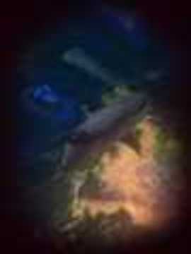 摸摸魚(yú)海底大獵殺游戲截圖3