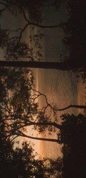 模擬美景攝影游戲截圖3