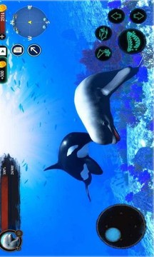 海洋大捕殺游戲截圖2