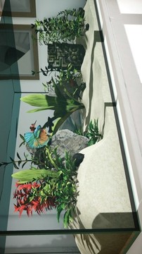 水族箱設(shè)計師游戲截圖1