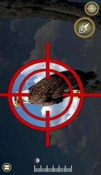 鳥類狙擊狩獵游戲截圖2