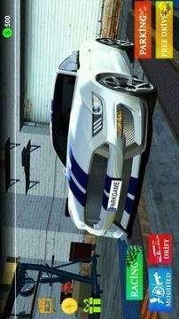 野馬駕駛停車游戲截圖1
