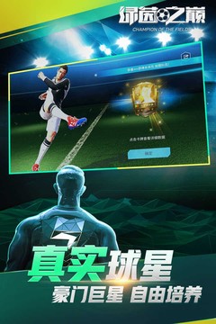 綠茵之巔2021游戲截圖4