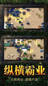 狂想者傳奇無限刀游戲截圖3