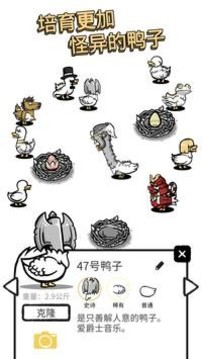 蛋里是什么鴨游戲截圖3