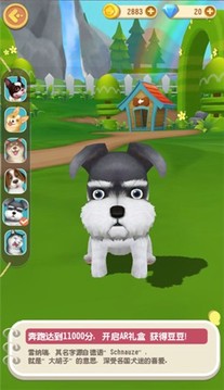 小動物跑酷游戲截圖2