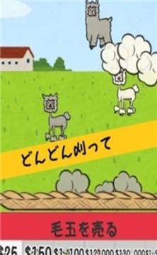 毛茸茸羊駝農(nóng)場(chǎng)游戲截圖3