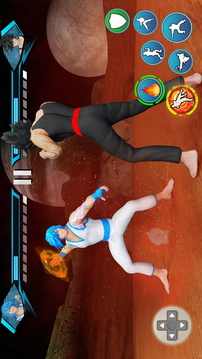 空手道動(dòng)漫格斗游戲截圖1
