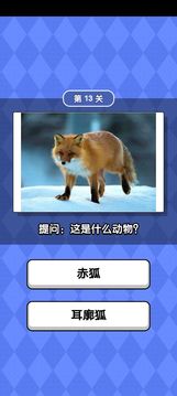 動物滑滑樂游戲截圖2