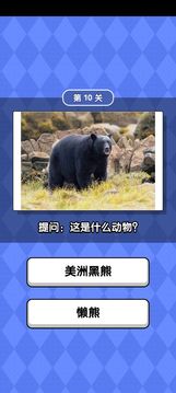 動物滑滑樂游戲截圖3