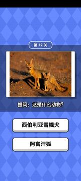 動物滑滑樂游戲截圖1
