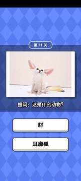 動物滑滑樂游戲截圖4