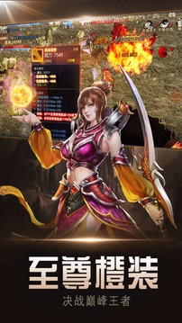熱血合擊微變游戲截圖4